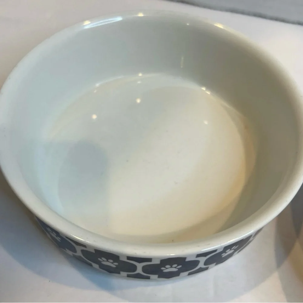 Bone Dry Ceramic Pet Feeding Dish Bowls Set of 2 Bundle